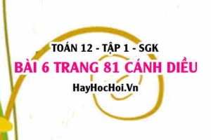 Bài 6 trang 81 Toán 12 tập 1 Cánh Diều